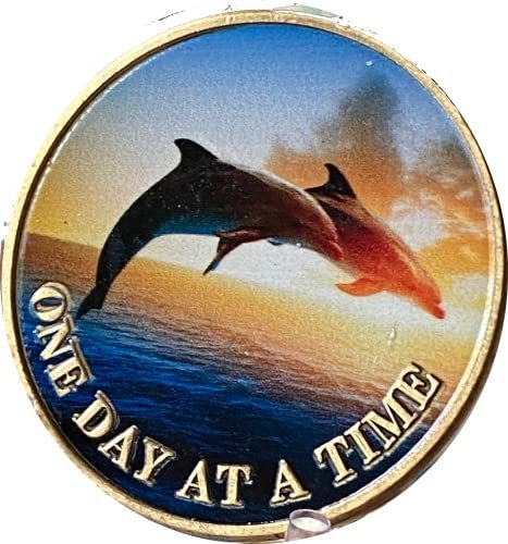 Dolphins Swimming Ocean One Day at A Time Medallion Dolphin Serenity Prayer Chip
