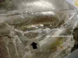 Enhydro Specimen, Jacare Crystal with Water, Natural Elestial Quartz Specimen - £228.42 GBP