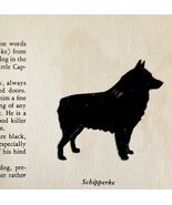 Schipperke 1939 Dog Breed Art Ole Larsen Color Plate Print Antique PCBG18 - $42.03 CAD