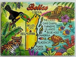 Belize Corozal Cartoon Drawing Toucan Turtle Cheetah Magnet - $14.84