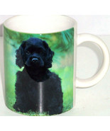 Black Cocker Spaniel Coffee Mug Dog Tea Soup America Favorite Pure Breed - £15.74 GBP