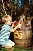 Barrel Of Monkey&#39;s At Homosassa Springs Attraction Tampa Bay Postcard - $10.00