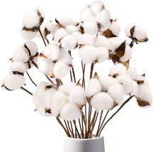 Domestar Cotton Stems, Natural Dried Cotton 8 Packs, 15 Bolls Of Cotton Sprigs - £24.02 GBP