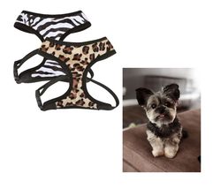 Small Breed Dog Harnesses Cheetah or Zebra Plush Adjustable Chest Plate ... - $416.53 MXN+