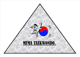MFMA TAEKWONDO: EXPERT 1ST DAN PACKAGE. - $36.65