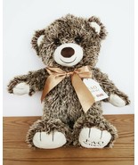 FAO Schwarz &quot;Bears That Care&quot; Teddy Bear 18&quot; Stuffed Plush Animal Toys f... - $373.29 MXN