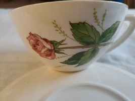 Edwin Knowles Tea Rose Tea Cup Made in USA 1950s MCM Vintage Coffee Cup - £7.88 GBP