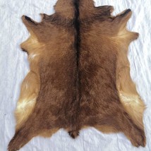 Red Deer Hide Rug Deer Skin Rug Deer Taxidermy Fireplace Deerskin Decor Reindeer - $75.21