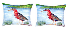 Pair of Betsy Drake Green Heron II No Cord Pillows 16 Inch X 20 Inch - £63.49 GBP