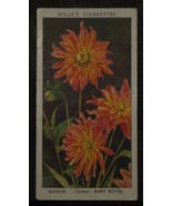 VINTAGE WILLS CIGARETTE CARDS GARDEN FLOWERS DAHLIA No # 16 NUMBER X1 b16 - £1.37 GBP