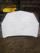 Hood Fits 10-17 EQUINOX 1437066 - $2,408.03 MXN