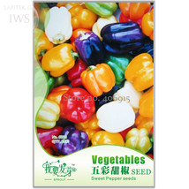 Colorful Sweet Pepper High-quality Multicolored Pepper Seeds,Original Pack, 25 s - £3.59 GBP