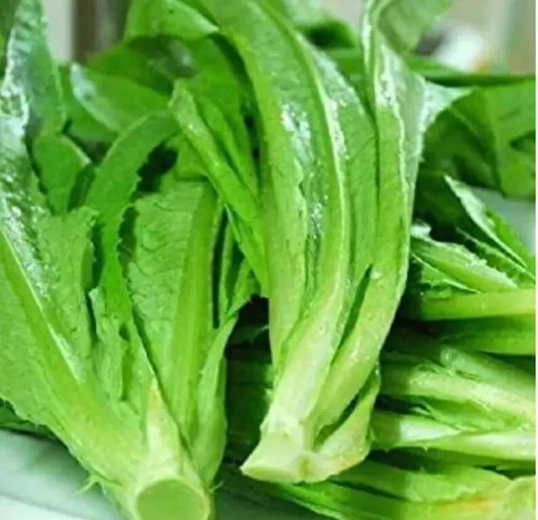 700 Seeds A Choy/Pai Tsai/Taiwanese//Komatsuma Sweet Tender Asian Green ... - £7.06 GBP