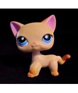 Littlest Pet Shop #339 Yellow Orange Race About Ranch Cat Blue Eyes LPS - $39.15