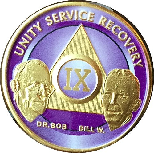 Purple & Gold 9 Year Custom Founders AA Alcoholics Anonymous Medallion Chip