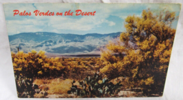 Petley Color Postcard 19 Cacti &amp; Desert Flora of Great SW Phoenix Arizon... - £2.38 GBP