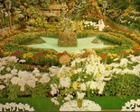 Chrysanthemum Display Jewel Box Forest Park St. Louis MO Postcard PC575 - $4.99