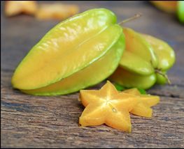 Star Fruit (Averrhoa Carambola) Live Fruit Tree 12”-24” - £60.75 GBP