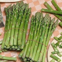 BPA 100 Seeds Asparagus Seeds Uc 157 F2 Organic Non Gmo Fresh From US - £7.07 GBP