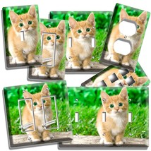 Cute Green Eyes Kitten Kitty Cat Light Switch Outlet Wall Plate Cover Bedroom - £14.38 GBP+