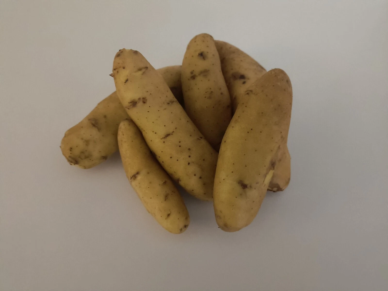 Austrian Crescent -2 lbs pounds- Certified Whole Seed Potatoes for Spring - €31,86 EUR