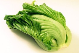 Authentic Chinese Indian Mustard (Gai choy, Gai Choi) Cabbage Seeds Size 100-500 - $2.75+