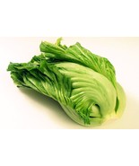 Authentic Chinese Indian Mustard (Gai choy, Gai Choi) Cabbage Seeds Size... - £2.20 GBP+