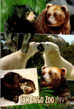Postcard San Diego Zoo Featuring Bears Wild Animal Park  6 x 4 Inches - £3.89 GBP