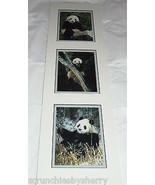 Giant Panda Bear Prints Mark J Thomas Ready Framing Published Photographer - $69.95