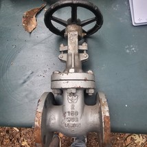 Williams 2&quot; Cast Steel Bolted Gate Valve Class 150 WCB BD5045 Rising Stem - £95.00 GBP