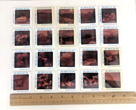 Vintage Pana Vue Slides Great Smoky Mountain National Park Lot of 20 Slides - £18.92 GBP