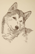 Siberian Husky Dog Art Portrait Print 57 Stephen Kline adds your dogs na... - $49.95