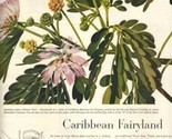Alcoa Steamship Lines Saman Tree Magazine Ad Caribbean Fairyland 1950&#39;s - $17.82