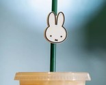 Starbucks Singapore X Miffy Limited Edition Straw With Stopper NEW - £33.08 GBP