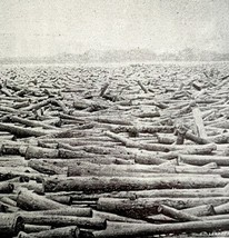 Susquehanna River Ruins 1889 Johnstown Flood Victorian Print Pennsylvani... - $24.99