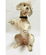 Poodle Dog Figurine 1950s Golden Crown E&amp;R Ebeling &amp; Reuss Keramos Austria  - £58.80 GBP