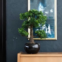 Emerald Artificial Ficus Mini Bonsai Green 47 cm 420006 - £51.72 GBP