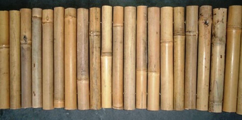 Bamboo "EVEN STYLE" Garden Border Edging- Set of 3 Rolls (30 Feet)  - $160.00