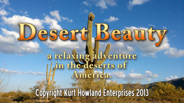 &quot;Desert Beauty&quot; Relaxation / Meditation Video DVD - $138.58 MXN