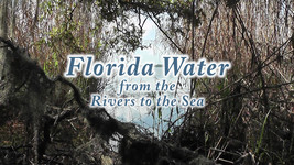 &quot;Florida Waterways&quot;, Relaxation &amp; Meditaion, DVD - £7.49 GBP