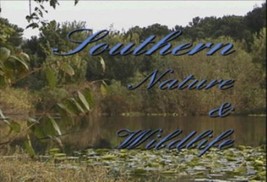 &quot;Southern Nature &amp; Wildlife&quot; a Calming Meditation Video DVD - £3.77 GBP