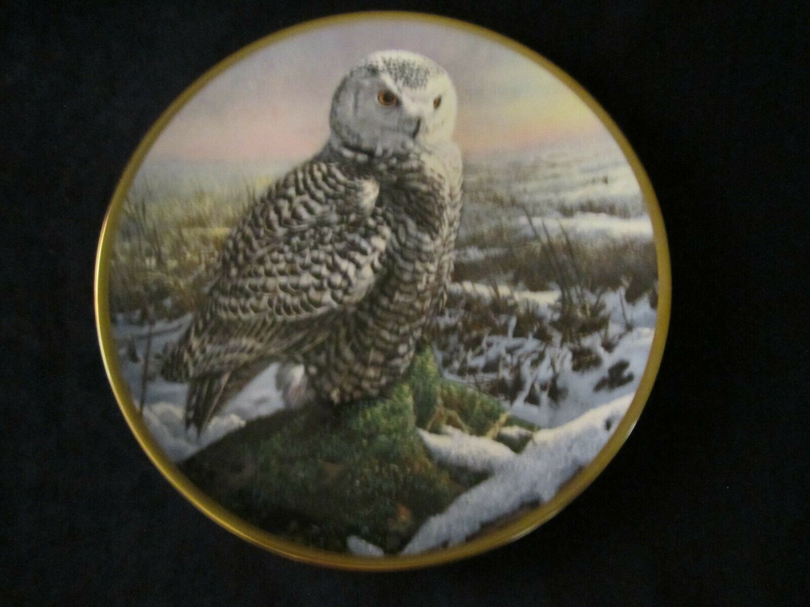 Primary image for SNOWY OWL collector plate SEEREY-LESTER Morning Mist NOBLE OWLS OF AMERICA