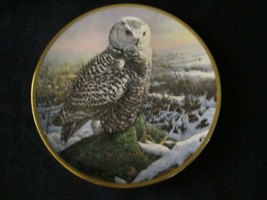SNOWY OWL collector plate SEEREY-LESTER Morning Mist NOBLE OWLS OF AMERICA - $29.99