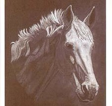 HORSE 6 Hand Signed Royal Rouge Art Cards by N. McNary - £8.69 GBP