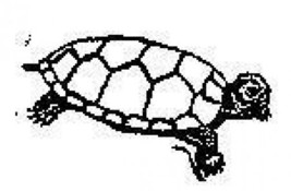 Turtle sea life aquatic Rubber Stamp made in america free shipping - £10.72 GBP