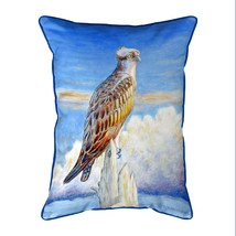 Betsy Drake Osprey Storm Extra Large Zippered Indoor Outdoor Pillow 20x24 - £49.46 GBP