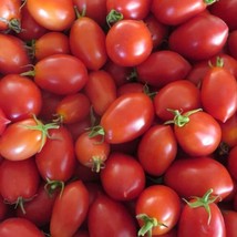 Roma Tomato 25 Seeds Fast Shipping - $9.84