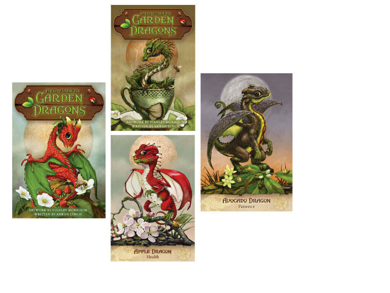 Field Guide To Garden Dragons Oracle Cards and Guidebook Stanley Morrison - $22.77