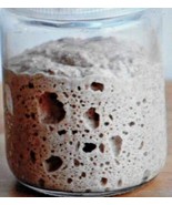 San Francisco SOURDOUGH live YEAST Purely Organic wharf FRESH MONTHLY BO... - $7.72