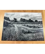 Vintage RPPC Postcard - England - Kensington Palace, The Sunken Garden - $4.75